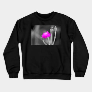 Magenta Flower Selective Color Photography Crewneck Sweatshirt